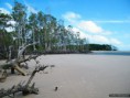 Praia Barra Velha - Ilha de Marajó (Soure - Pará)