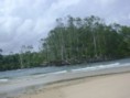 Praia do Araruna (Soure - Marajó - Pa)